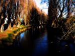 River Avon, Christchurch